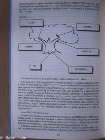 Informatikai ismeretek II.