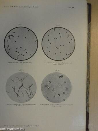 Die Experimentelle Bakteriologie und die Infektionskrankheiten mit besonderer Berücksichtigung der Immunitätslehre I.