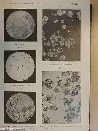 Die Experimentelle Bakteriologie und die Infektionskrankheiten mit besonderer Berücksichtigung der Immunitätslehre I.