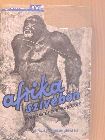 Gorillák és törpék között