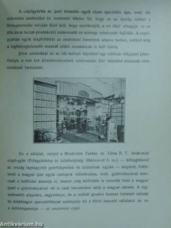 A Budapesti Ujságirók Egyesülete 1910-ik évi almanachja