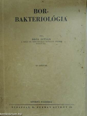 Borbakteriológia