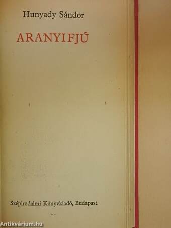 Aranyifjú