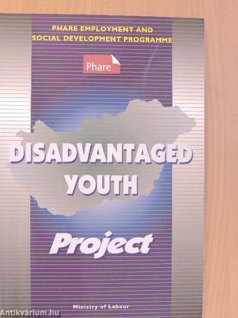 Disadvantaged Youth Project