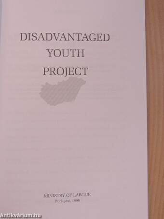 Disadvantaged Youth Project