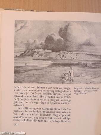 Nándorfehérvár, 1456