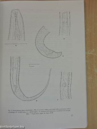 Opuscula Zoologica XXIX-XXX