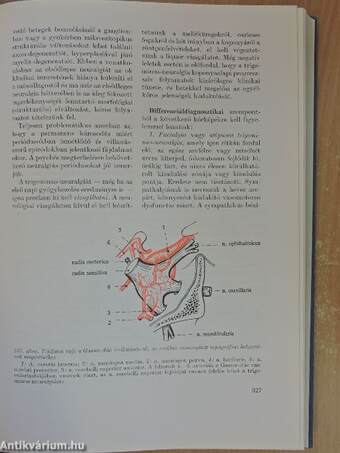 A klinikai neurológia alapjai