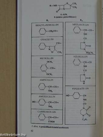 Az antibiotikumkezelés gyakorlata