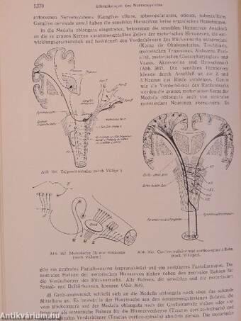 Lehrbuch der inneren Medizin II.