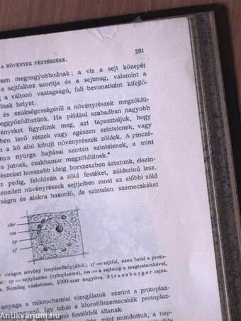 Természettudományi Közlöny 1907. január-december/Pótfüzetek a Természettudományi Közlönyhöz 1907. január-december