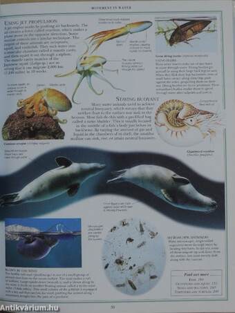 The Dorling Kindersley Nature Encyclopedia