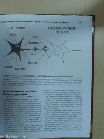 Hangulatzavarok kézikönyve