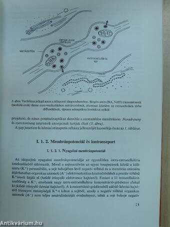 A pszichiátria biológiai alapjai