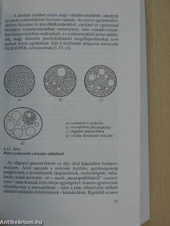 A menedzser közgazdasági szemlélete