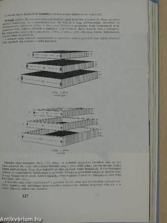 Az egészséges csecsemő és gyermek fejlődése és gondozása 1. (töredék)