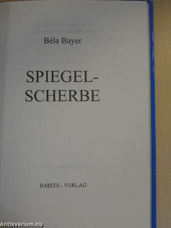 Spiegelscherbe