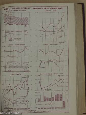 Magyar Statisztikai Szemle 1941. január-június (fél évfolyam)