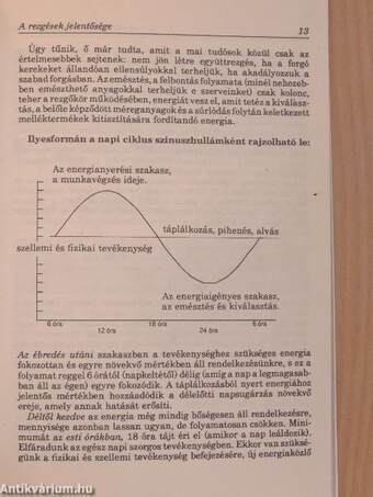 A természetes életmód ételei