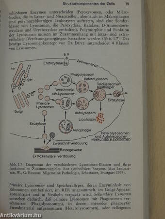 Orale Strukturbiologie