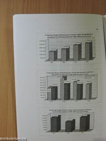 A Somogy Megyei Közgyűlés négy éve 1994-98.