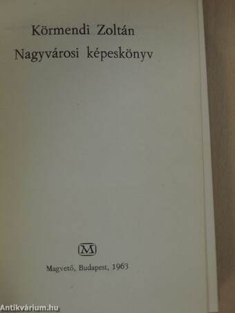 Nagyvárosi képeskönyv