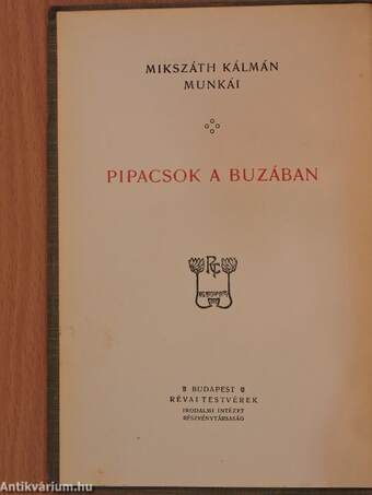 Pipacsok a buzában