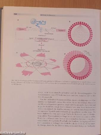 Biophysik für Mediziner