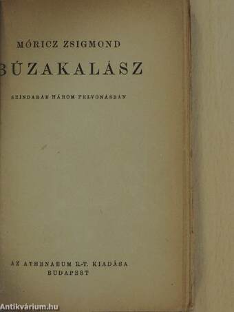 Búzakalász