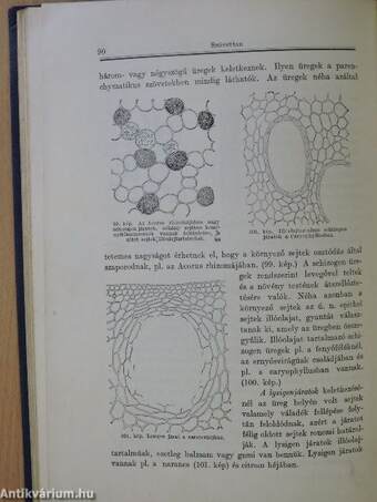 Botanika II/1.