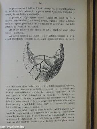 Állatorvosi Lapok 1903. (nem teljes évfolyam)