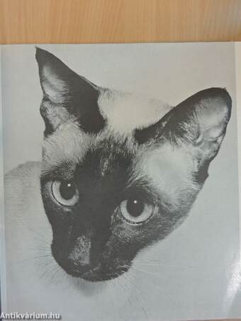 Das Große Katzenbuch