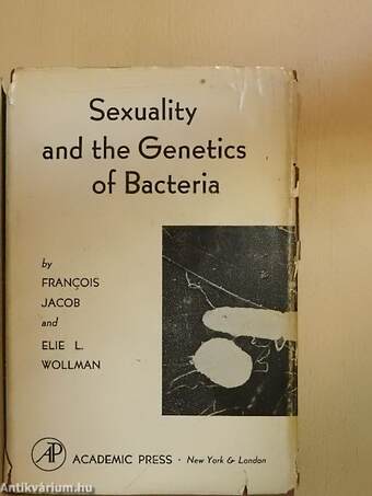 Sexuality and the Genetics of Bacteria