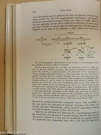 Sexuality and the Genetics of Bacteria