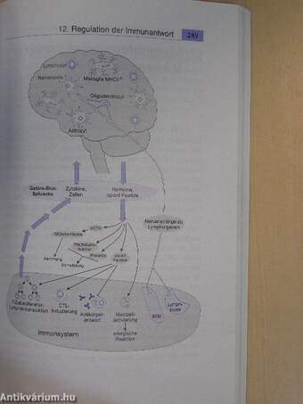 Immunbiologie in Bildern