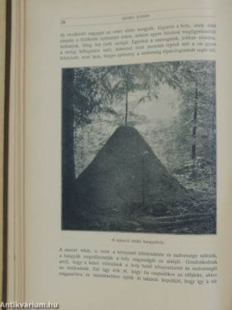 Természettudományi Közlöny 1914. január-december/Pótfüzetek a Természettudományi Közlönyhöz 1914. január-december