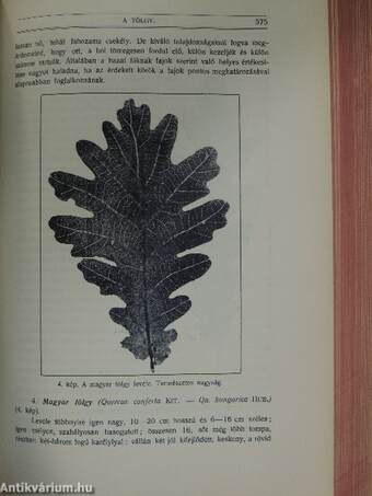 Természettudományi Közlöny 1914. január-december/Pótfüzetek a Természettudományi Közlönyhöz 1914. január-december