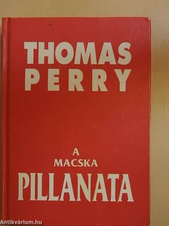 A macska pillanata