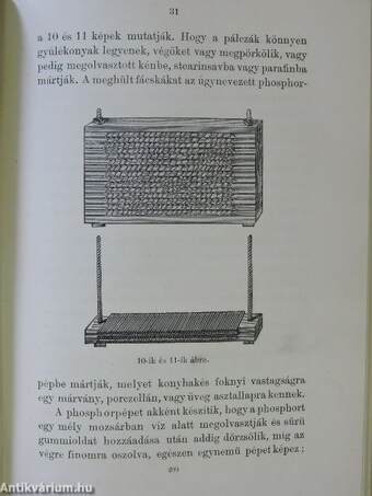 Népszerű természettudományi előadások gyüjteménye V-VIII/32-51.