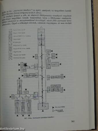 Szervezéselmélet és -módszertan