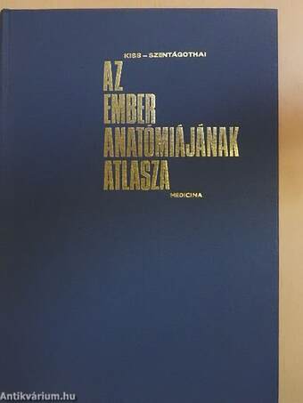 Az ember anatómiájának atlasza 2. (töredék)