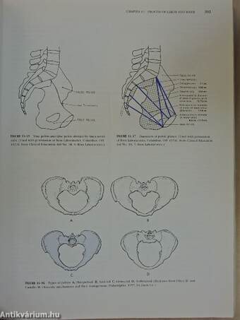 Maternal-Infant Nursing Care/Instructor's Resource Manual to Accompany Maternal-Infant Nursing Care