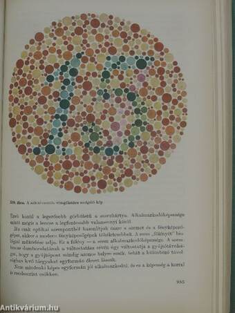 Az emberi test 2. (töredék)