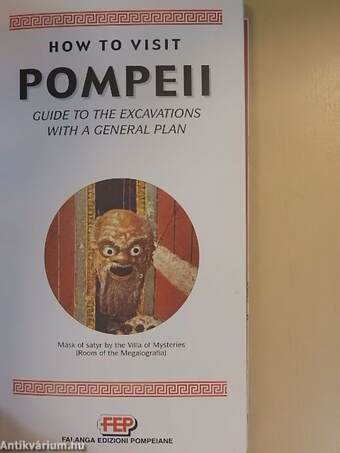 How to Visit Pompeii