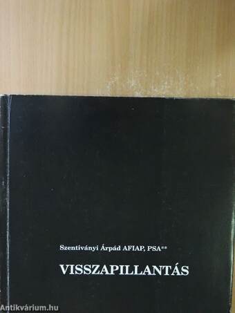 Visszapillantás