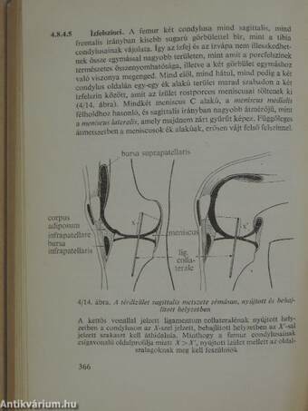 Functionalis anatomia 1.