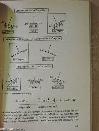 A kémiai folyamatok energetikai alapjai