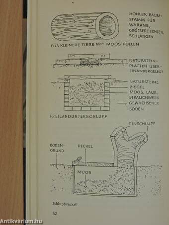 Kleine Terrarienkunde