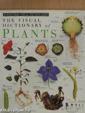 The Visual Dictionary of Plants