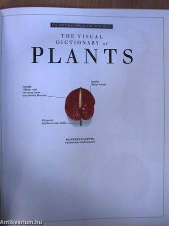 The Visual Dictionary of Plants